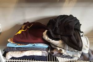 lot 331 image: Lot of 10 Mens Swim Trunks SZ L & 3 Sweatshirts SZs M & L & 1 Pr of Shorts