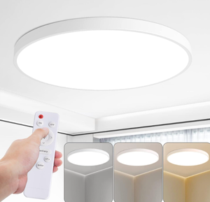 lot 230 image: 24 Inch LED Flush Mount Ceiling Light