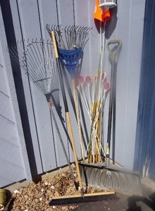 lot 18 image: Lawn and GardenYard Tools, Rakes, Shovels Etc.