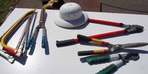 lot 75 image: Lawn and Garden Hand Tools Tree Branch Clipper, Hedge Trimmer, Hand Saws Etc.