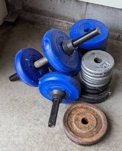 Weider Weight Bench and Hand Weights