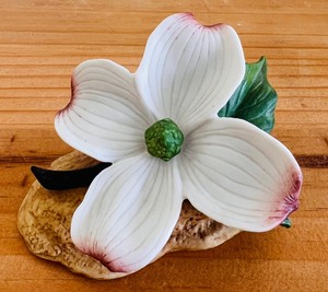 Beautiful Lot of Bright Porcelain Flowers by 8037 Dogwood by Andrea