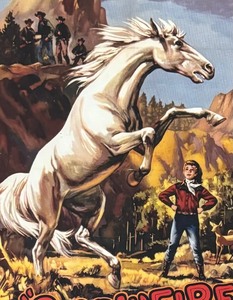 lot 66 image: Snowfire The Wild White Stallion Framed Print