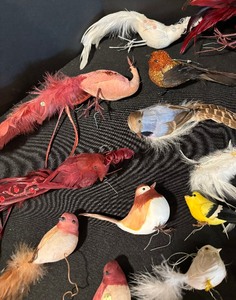 lot 275 image: Bunch of Beautiful Birds