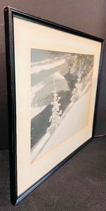 lot 196 image: Vintage Picture of Snow Scene and Snow Covered Trees