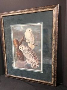 lot 208A image: Lovely Framed Print of Owls