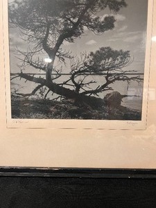 lot 245 image: Beautiful Black and Gray Picture Old Warrior by W.F. Kohagen