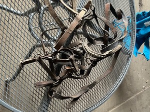horse items