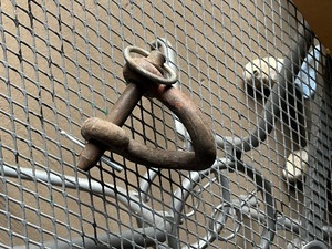 clevis