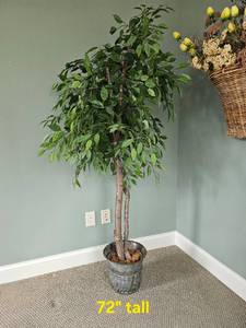 lot 282F image: 7 Foot Faux Fig Tree