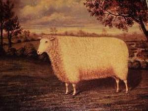 lot 55 image: English Pastoral Fine Art Print - A Prize Sheep of the Old Lincoln Breed, 1835 - W. Adamson