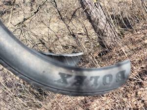 lot 149 image: Awesome Fine Art Tucan Sculpture - Found Rubber Tire