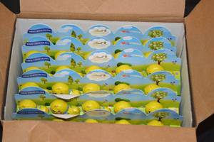 Box of Lindt Chocolate Easter Mini Chicks Best by 08312023
