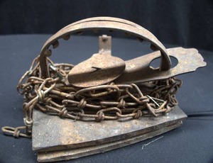 LARGE VICTOR BEAVER TRAP WITH TEETH
