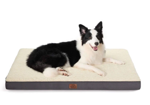 lot 322 image: Large Orthopedic Washable Dog Bed