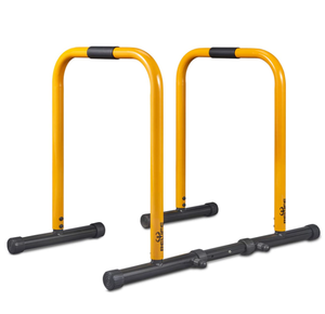 lot 527 image: RELIFE REBUILD YOUR LIFE Dip Station Functional Heavy Duty