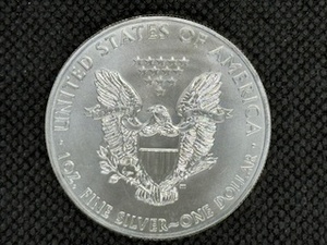 2011 American Silver Eagle 1 Oz. Coin