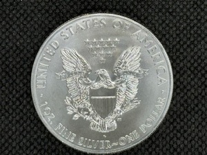 2011 American Silver Eagle 1 Oz. Coin
