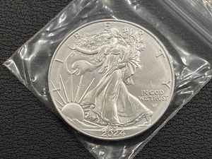 2024 Silver Eagle