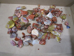 lot 18 image: Petrified Wood - Polished