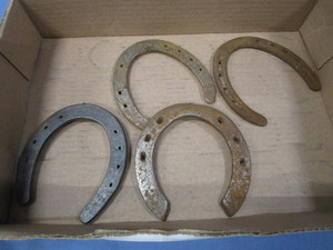 lot 48 image: Horse Shoes, Diamond Duluth