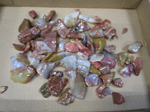 lot 109 image: Petrified Wood, Polished