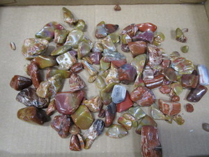 lot 110 image: Petrified Wood, Polished
