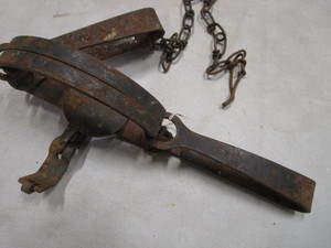 lot 185 image: Victor #3 Double Spring Trap