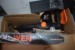 Electic chainsaw