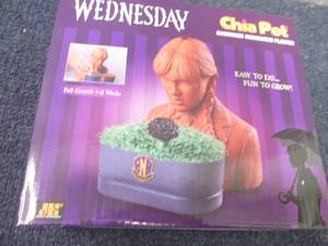 lot 193 image: Wednesday Chia Pet...