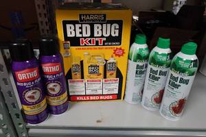 lot 311 image: Assorted Bed Bug Killer