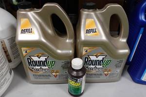 lot 313 image: 2 Roundup Weed & Grass Killer