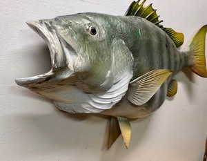 lot 97 image: LARGE Vintage Fiberglass Fish Wall Display 