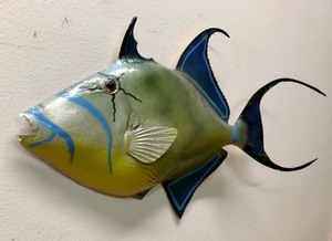 lot 101 image: Very Cool Large Vintage Fiberglass Tropical Fish Wall Display
