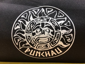 lot 273 image: Unused Punchau Waterproof Canopy wSide panel 10 x 10