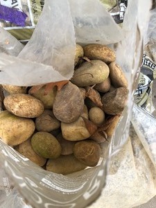 lot 384 image: &nbspDORADO River Rock Landscaping Rock & Loose Gravel etc