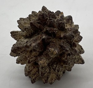 lot 127 image: Natural Prophecy Stone