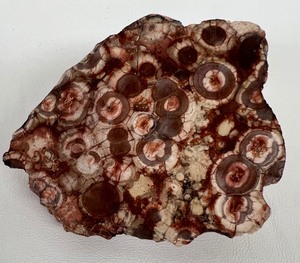 lot 280 image: Natural Polished Birdseye Jasper Rhyolite