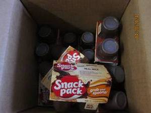 case of 12 packs of 4 snack packs best buy date of august 2024