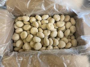 lot 13 image: E - Honey Wheat Roll Dough - 252 Rolls 19.69Lbs Best by 03142024