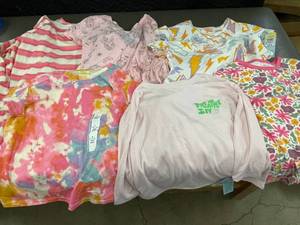 GA 2.    Girls shirts and dresses.  13 Items
