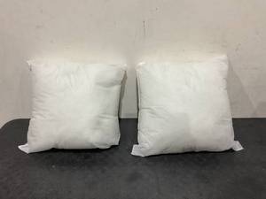 lot 242 image: LOT OF 2 22x22 Pillows