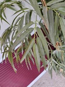 Tropical Faux Silk Plants