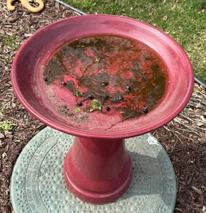 lot 211 image: Beautiful Bird Feeder