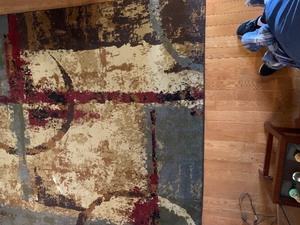 lot 52 image: Pretty Area Rug by The Coffee Shop