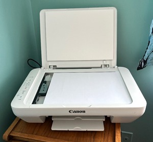 lot 263 image: Canon MG2522 Pixma Printer