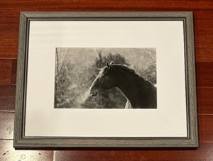 lot 125 image: Trio of Black and White Horse Prints