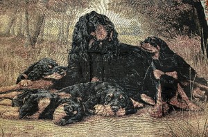 lot 272 image: Pure Country Weavers Blanket