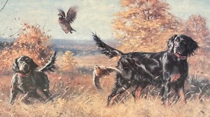 lot 276 image: Dare and Dash Limited Edition Framed Print by Robert Abbett