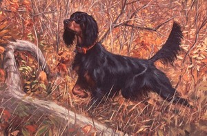 lot 278 image: A Good Grouse Dog Signed Artist Proof by Bob Bertham